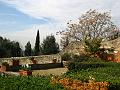 Fiesole - Villa di Maiano-02
